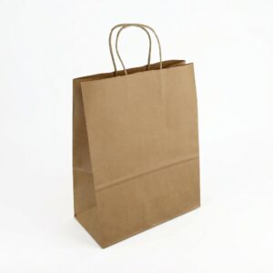 Twist Handle Bag - 8"x10"x4.5"